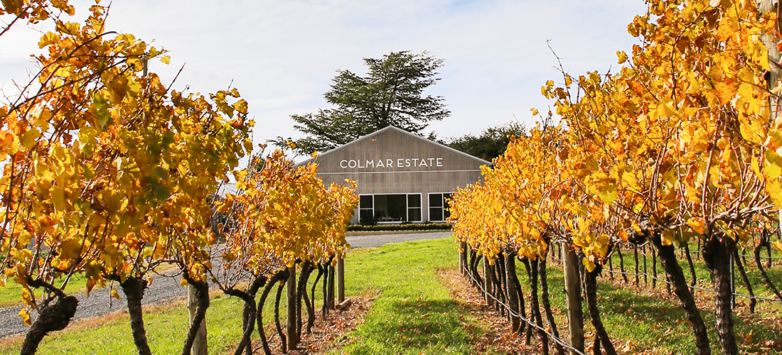 Colmar Estate cellar door and trees